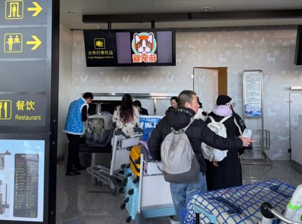 IMG_5091.jpeg IMG_5091.jpeg